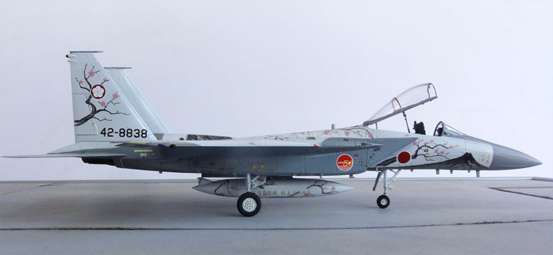 f-15j plum blossoms and mt tsukuba