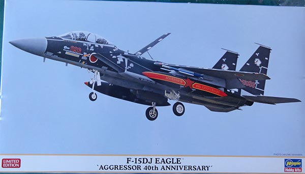 02399 F-15DJ hasegawa