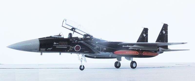 hasegawa 02399