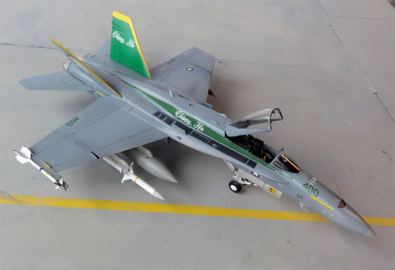 chippy ho vfa-195 dcag fa-18c