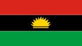 biafra flag