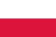 modern polish flag