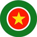 suriname roundel air force